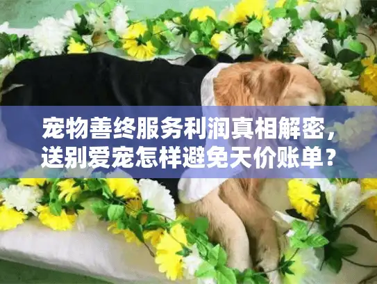 宠物善终服务利润真相解密，送别爱宠怎样避免天价账单？
