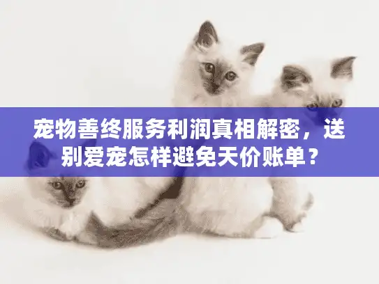 宠物善终服务利润真相解密，送别爱宠怎样避免天价账单？