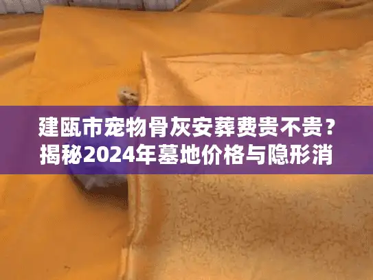 建瓯市宠物骨灰安葬费贵不贵？揭秘2024年墓地价格与隐形消费