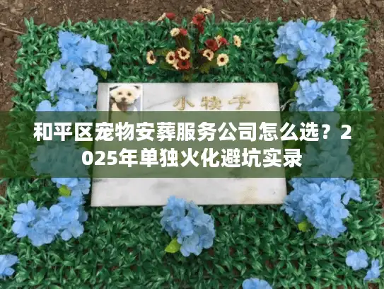 和平区宠物安葬服务公司怎么选？2025年单独火化避坑实录