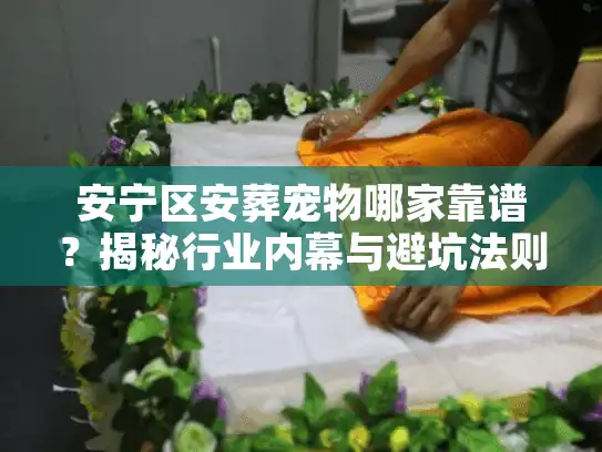 安宁区安葬宠物哪家靠谱？揭秘行业内幕与避坑法则