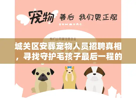 城关区安葬宠物人员招聘真相，寻找守护毛孩子最后一程的人