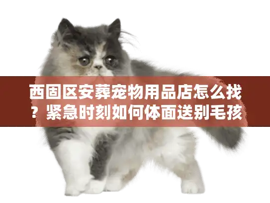 西固区安葬宠物用品店怎么找？紧急时刻如何体面送别毛孩子