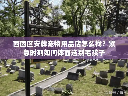 西固区安葬宠物用品店怎么找？紧急时刻如何体面送别毛孩子