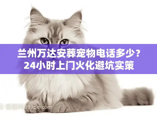 兰州万达安葬宠物电话多少？24小时上门火化避坑实策