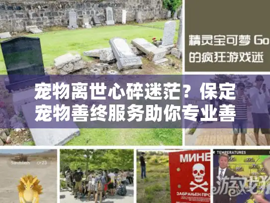 宠物离世心碎迷茫？保定宠物善终服务助你专业善后