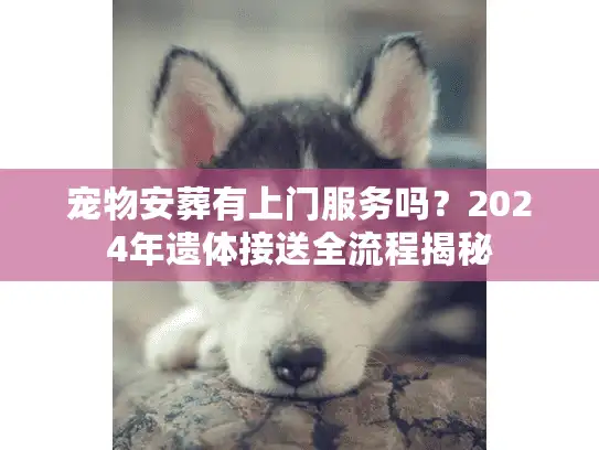 宠物安葬有上门服务吗？2024年遗体接送全流程揭秘