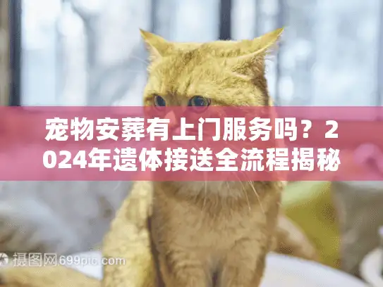 宠物安葬有上门服务吗？2024年遗体接送全流程揭秘