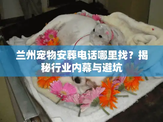 兰州宠物安葬电话哪里找？揭秘行业内幕与避坑