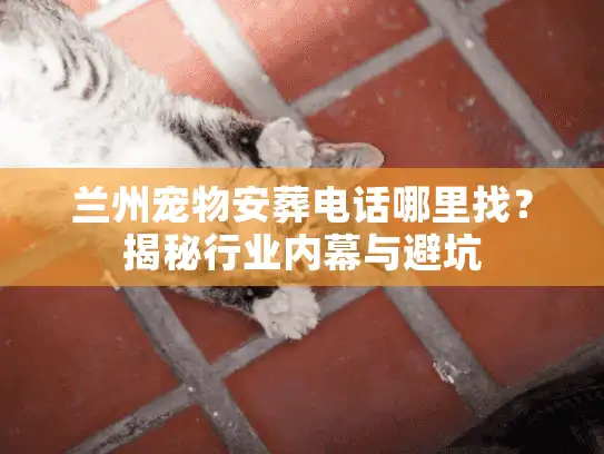 兰州宠物安葬电话哪里找？揭秘行业内幕与避坑