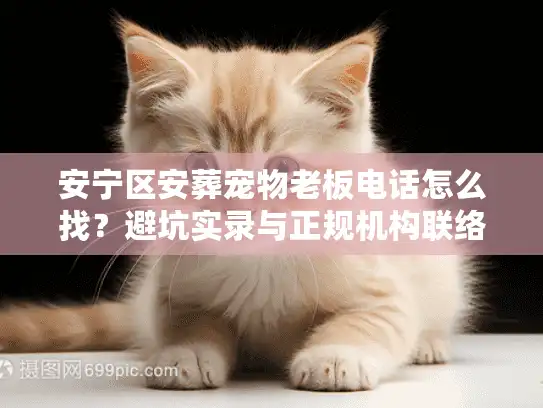安宁区安葬宠物老板电话怎么找？避坑实录与正规机构联络秘籍