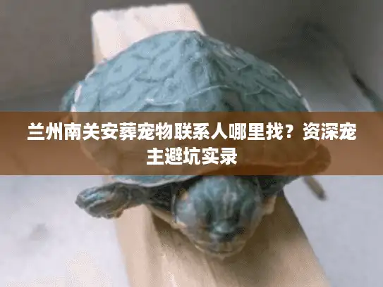 兰州南关安葬宠物联系人哪里找？资深宠主避坑实录