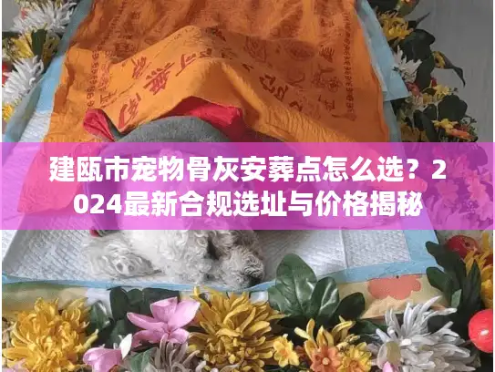 建瓯市宠物骨灰安葬点怎么选？2024最新合规选址与价格揭秘