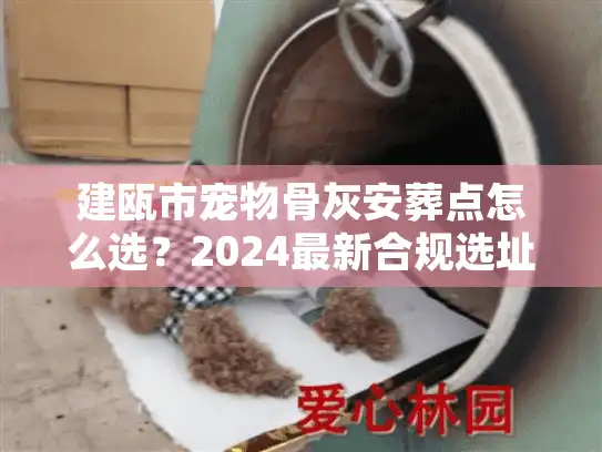 建瓯市宠物骨灰安葬点怎么选？2024最新合规选址与价格揭秘