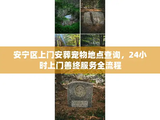 安宁区上门安葬宠物地点查询，24小时上门善终服务全流程