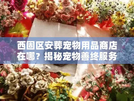 西固区安葬宠物用品商店在哪？揭秘宠物善终服务的隐形坑与避坑术