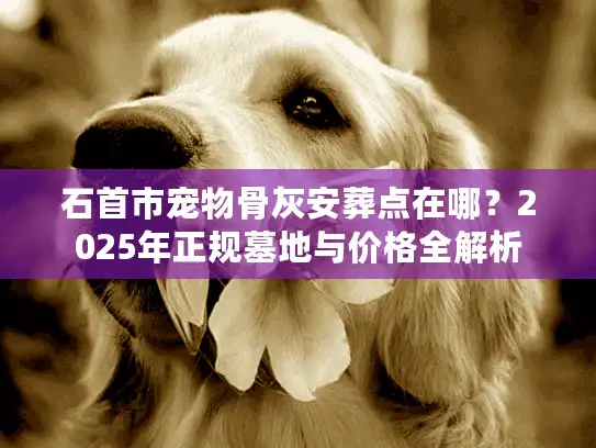 石首市宠物骨灰安葬点在哪？2025年正规墓地与价格全解析