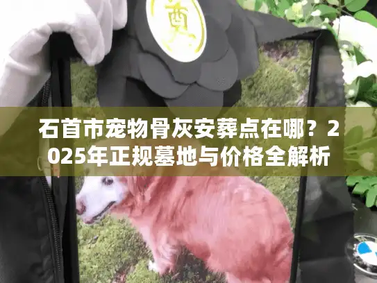 石首市宠物骨灰安葬点在哪？2025年正规墓地与价格全解析