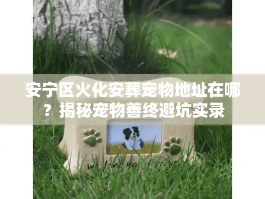 安宁区火化安葬宠物地址在哪？揭秘宠物善终避坑实录