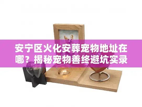 安宁区火化安葬宠物地址在哪？揭秘宠物善终避坑实录