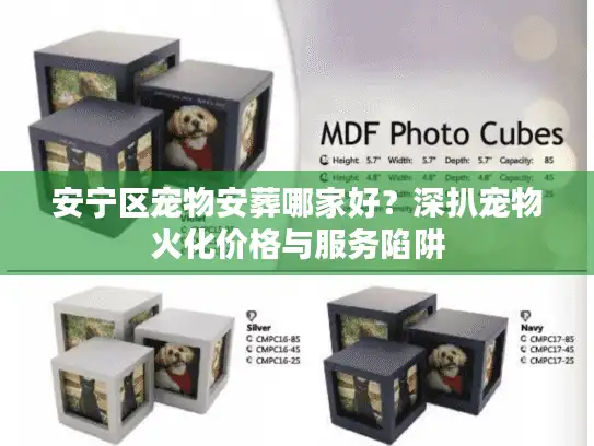 安宁区宠物安葬哪家好？深扒宠物火化价格与服务陷阱