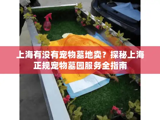 上海有没有宠物墓地卖？探秘上海正规宠物墓园服务全指南