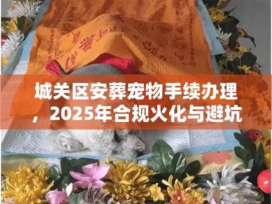 城关区安葬宠物手续办理，2025年合规火化与避坑实操