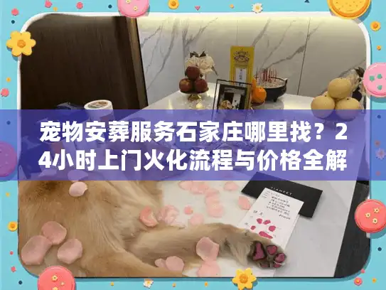 宠物安葬服务石家庄哪里找？24小时上门火化流程与价格全解