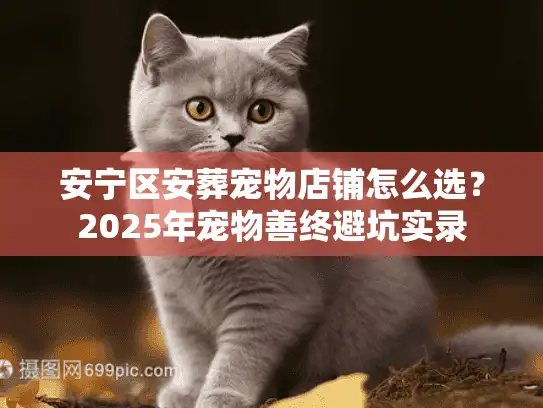 安宁区安葬宠物店铺怎么选？2025年宠物善终避坑实录
