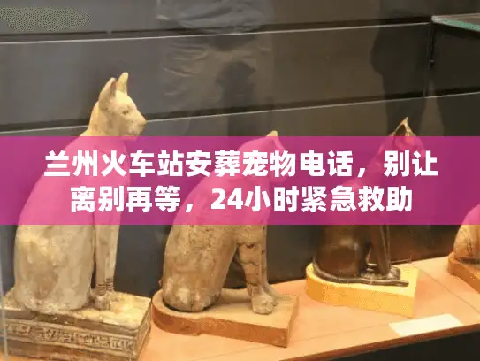 兰州火车站安葬宠物电话，别让离别再等，24小时紧急救助