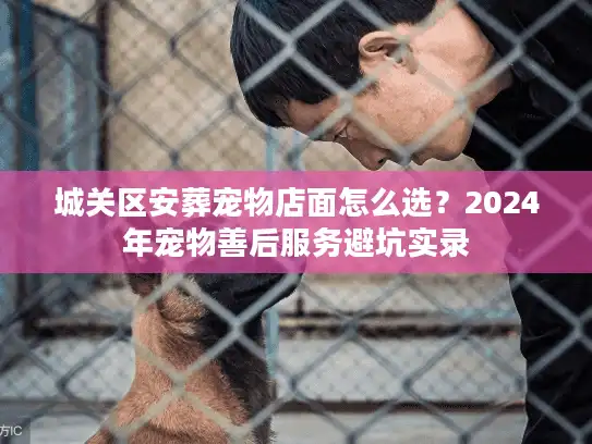 城关区安葬宠物店面怎么选？2024年宠物善后服务避坑实录