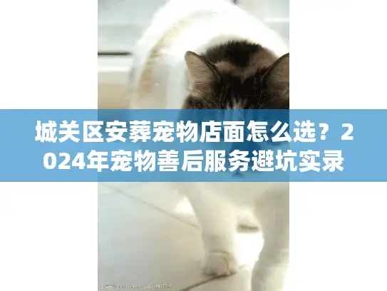 城关区安葬宠物店面怎么选？2024年宠物善后服务避坑实录