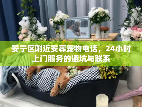 安宁区附近安葬宠物电话，24小时上门服务的避坑与联系