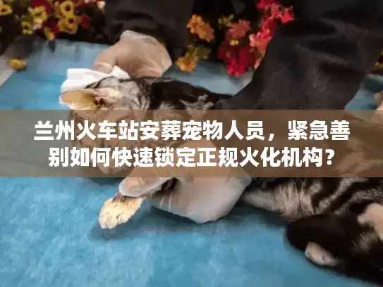 兰州火车站安葬宠物人员，紧急善别如何快速锁定正规火化机构？