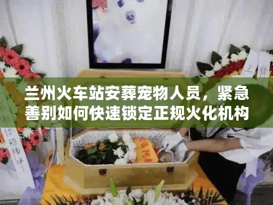 兰州火车站安葬宠物人员，紧急善别如何快速锁定正规火化机构？