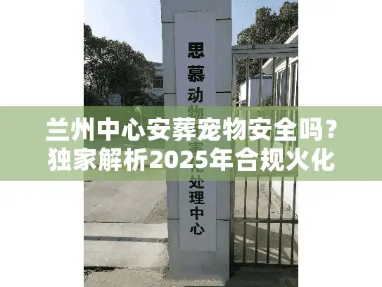 兰州中心安葬宠物安全吗？独家解析2025年合规火化流程