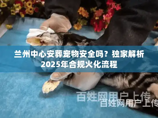 兰州中心安葬宠物安全吗？独家解析2025年合规火化流程