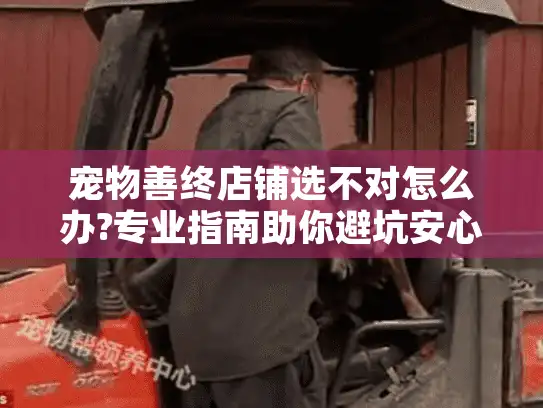 宠物善终店铺选不对怎么办?专业指南助你避坑安心送别爱宠