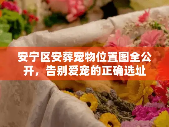 安宁区安葬宠物位置图全公开，告别爱宠的正确选址