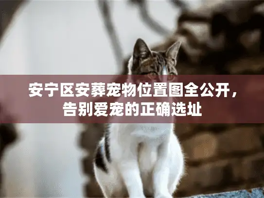 安宁区安葬宠物位置图全公开，告别爱宠的正确选址