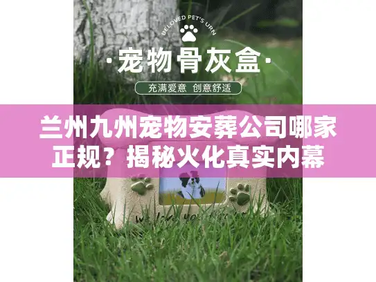 兰州九州宠物安葬公司哪家正规？揭秘火化真实内幕