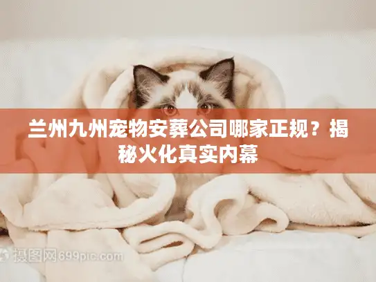 兰州九州宠物安葬公司哪家正规？揭秘火化真实内幕