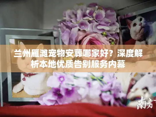 兰州雁滩宠物安葬哪家好？深度解析本地优质告别服务内幕