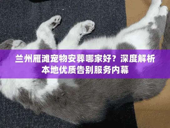 兰州雁滩宠物安葬哪家好？深度解析本地优质告别服务内幕