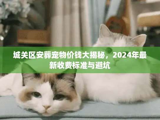 城关区安葬宠物价钱大揭秘，2024年最新收费标准与避坑