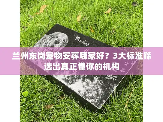 兰州东岗宠物安葬哪家好？3大标准筛选出真正懂你的机构