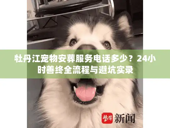 牡丹江宠物安葬服务电话多少？24小时善终全流程与避坑实录