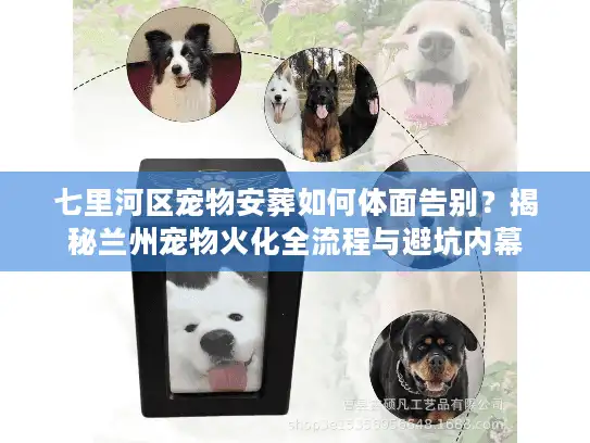 七里河区宠物安葬如何体面告别？揭秘兰州宠物火化全流程与避坑内幕