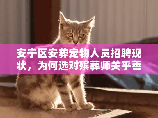 安宁区安葬宠物人员招聘现状，为何选对殡葬师关乎善终？