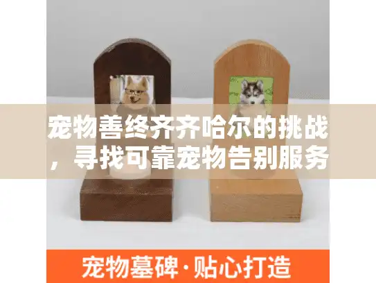 宠物善终齐齐哈尔的挑战，寻找可靠宠物告别服务的指南